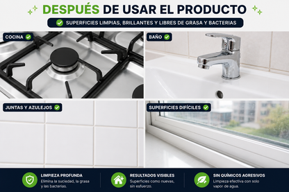 Maquina e Limpieza Vapor 2500w